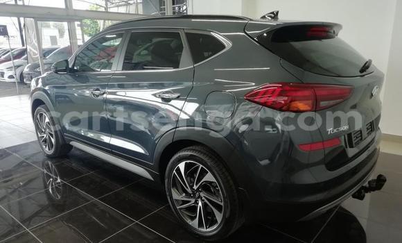 Buy Used Hyundai Tucson Silver Car in Ezulwini in Hhohho Buy Used Hyundai Tucson Silver Car in Ezulwini in Hhohho