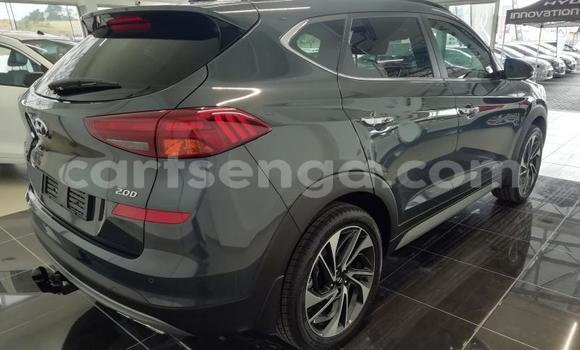 Buy Used Hyundai Tucson Silver Car in Ezulwini in Hhohho Buy Used Hyundai Tucson Silver Car in Ezulwini in Hhohho