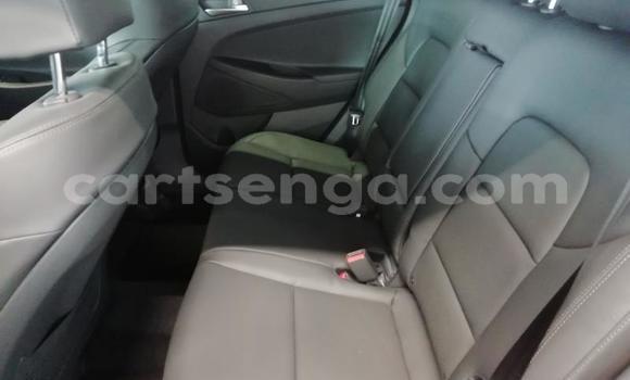 Buy Used Hyundai Tucson Silver Car in Ezulwini in Hhohho Buy Used Hyundai Tucson Silver Car in Ezulwini in Hhohho