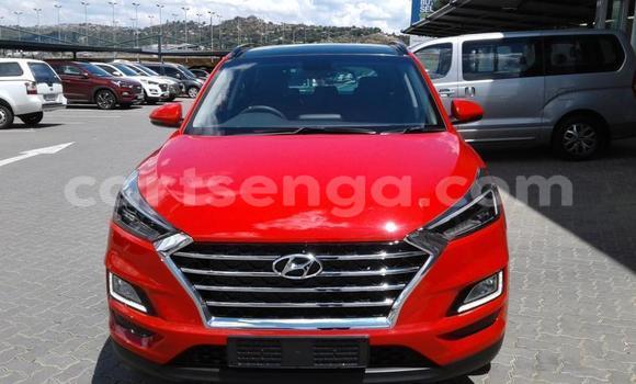 Buy Used Hyundai Tucson Red Car in Ezulwini in Hhohho Buy Used Hyundai Tucson Red Car in Ezulwini in Hhohho