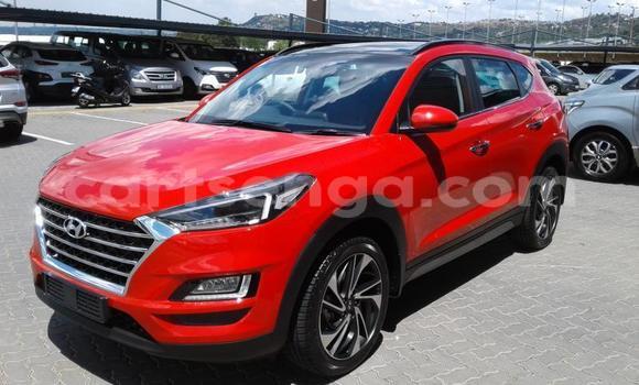 Buy Used Hyundai Tucson Red Car in Ezulwini in Hhohho Buy Used Hyundai Tucson Red Car in Ezulwini in Hhohho