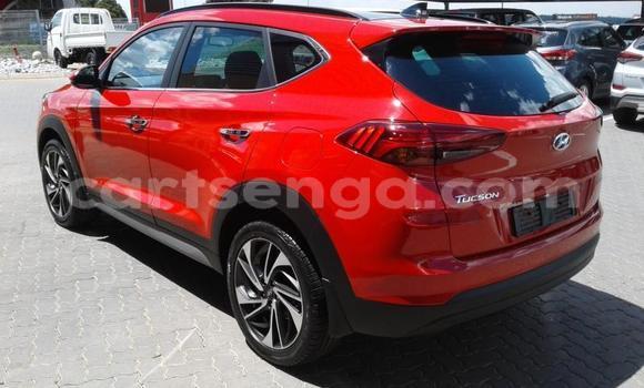 Buy Used Hyundai Tucson Red Car in Ezulwini in Hhohho Buy Used Hyundai Tucson Red Car in Ezulwini in Hhohho