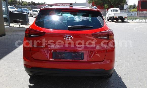 Buy Used Hyundai Tucson Red Car in Ezulwini in Hhohho Buy Used Hyundai Tucson Red Car in Ezulwini in Hhohho