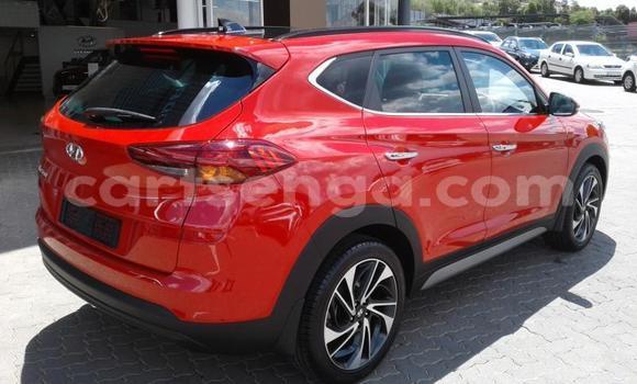 Buy Used Hyundai Tucson Red Car in Ezulwini in Hhohho Buy Used Hyundai Tucson Red Car in Ezulwini in Hhohho