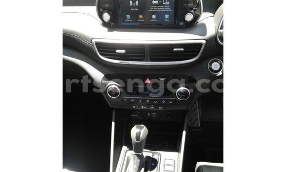 Buy Used Hyundai Tucson Red Car in Ezulwini in Hhohho Buy Used Hyundai Tucson Red Car in Ezulwini in Hhohho
