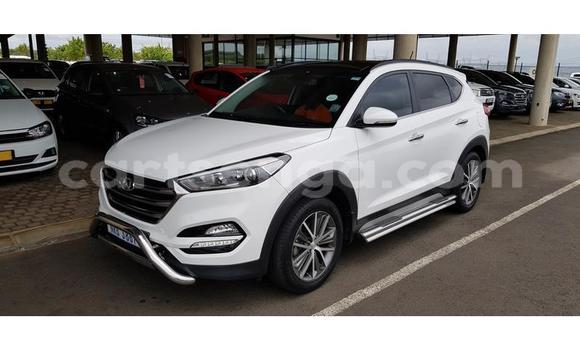 Buy Used Hyundai Tucson White Car in Ezulwini in Hhohho Buy Used Hyundai Tucson White Car in Ezulwini in Hhohho