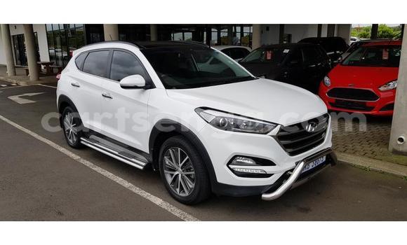 Buy Used Hyundai Tucson White Car in Ezulwini in Hhohho Buy Used Hyundai Tucson White Car in Ezulwini in Hhohho