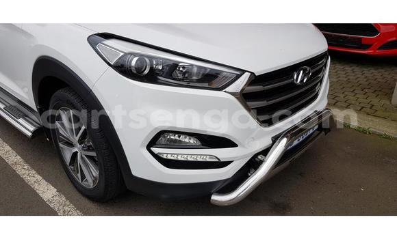 Buy Used Hyundai Tucson White Car in Ezulwini in Hhohho Buy Used Hyundai Tucson White Car in Ezulwini in Hhohho