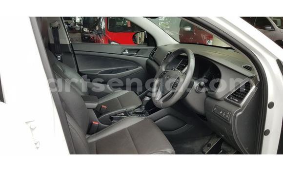 Buy Used Hyundai Tucson White Car in Ezulwini in Hhohho Buy Used Hyundai Tucson White Car in Ezulwini in Hhohho