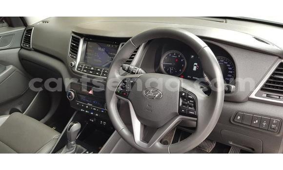 Buy Used Hyundai Tucson White Car in Ezulwini in Hhohho Buy Used Hyundai Tucson White Car in Ezulwini in Hhohho