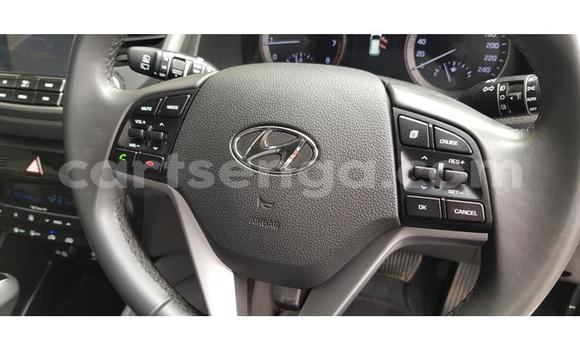 Buy Used Hyundai Tucson White Car in Ezulwini in Hhohho Buy Used Hyundai Tucson White Car in Ezulwini in Hhohho