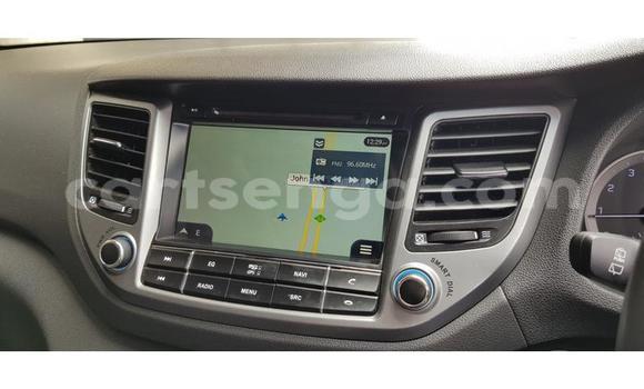 Buy Used Hyundai Tucson White Car in Ezulwini in Hhohho Buy Used Hyundai Tucson White Car in Ezulwini in Hhohho