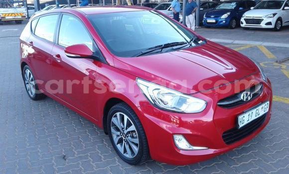 Buy Used Hyundai Accent Red Car in Ezulwini in Hhohho Buy Used Hyundai Accent Red Car in Ezulwini in Hhohho