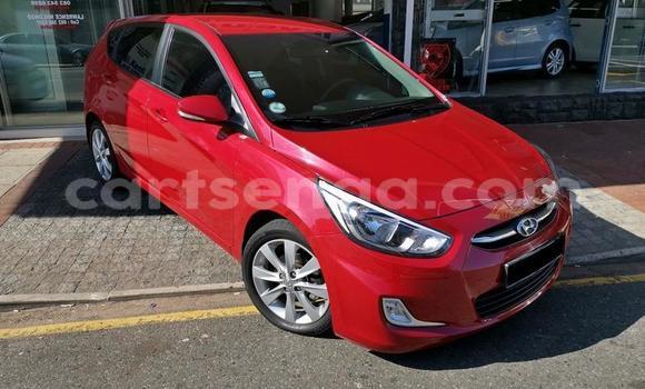 Buy Used Hyundai Accent Red Car in Ezulwini in Hhohho Buy Used Hyundai Accent Red Car in Ezulwini in Hhohho