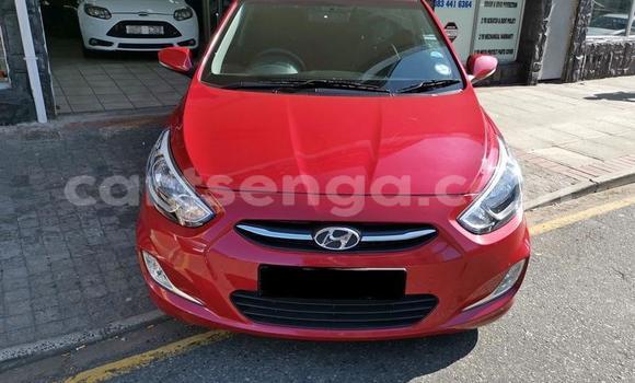 Buy Used Hyundai Accent Red Car in Ezulwini in Hhohho Buy Used Hyundai Accent Red Car in Ezulwini in Hhohho