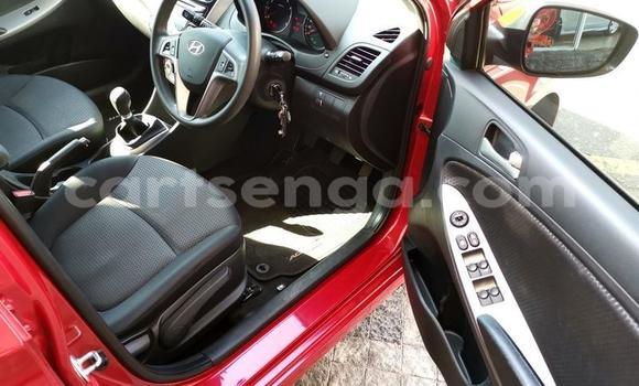 Buy Used Hyundai Accent Red Car in Ezulwini in Hhohho Buy Used Hyundai Accent Red Car in Ezulwini in Hhohho