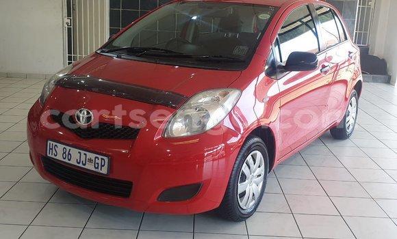 Buy Used Toyota Yaris Red Car in Big Bend in Lubombo Buy Used Toyota Yaris Red Car in Big Bend in Lubombo