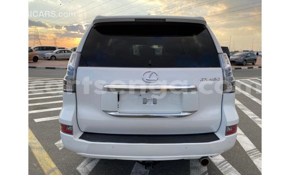 Buy Import Lexus GX White Car in Import - Dubai in Hhohho Buy Import Lexus GX White Car in Import - Dubai in Hhohho