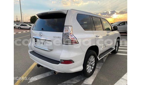 Buy Import Lexus GX White Car in Import - Dubai in Hhohho Buy Import Lexus GX White Car in Import - Dubai in Hhohho
