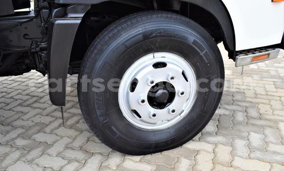 Acheter Occasion Utilitaire Hino 300 Series Blanc à Big Bend, Lubombo Acheter Occasion Utilitaire Hino 300 Series Blanc à Big Bend, Lubombo