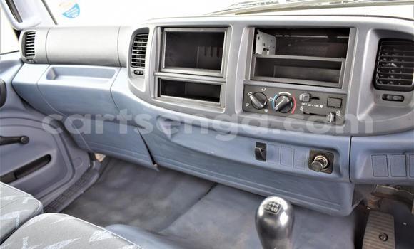 Acheter Occasion Utilitaire Hino 300 Series Blanc à Big Bend, Lubombo Acheter Occasion Utilitaire Hino 300 Series Blanc à Big Bend, Lubombo