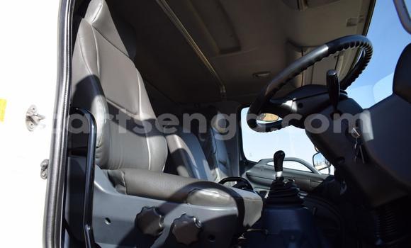 Acheter Occasion Utilitaire Hino 300 Series Blanc à Big Bend, Lubombo Acheter Occasion Utilitaire Hino 300 Series Blanc à Big Bend, Lubombo