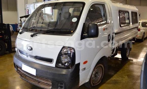 Buy Used Iveco Daily White Truck in Manzini in Manzini Buy Used Iveco Daily White Truck in Manzini in Manzini