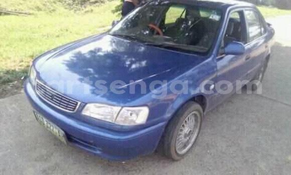 Acheter Import Voiture Toyota Corolla Bleu à Manzini, Manzini Acheter Import Voiture Toyota Corolla Bleu à Manzini, Manzini