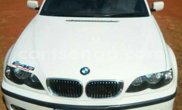Medium with watermark 46262655 2264704623811030 7649191601461264384 n