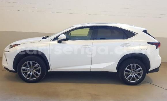 Buy Used Lexus LX 570 White Car in Ezulwini in Hhohho Buy Used Lexus LX 570 White Car in Ezulwini in Hhohho