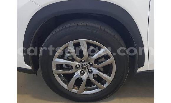 Buy Used Lexus LX 570 White Car in Ezulwini in Hhohho Buy Used Lexus LX 570 White Car in Ezulwini in Hhohho