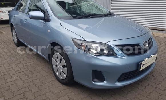 Buy Used Toyota Corolla Blue Car in Ezulwini in Hhohho Buy Used Toyota Corolla Blue Car in Ezulwini in Hhohho