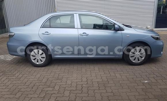 Buy Used Toyota Corolla Blue Car in Ezulwini in Hhohho Buy Used Toyota Corolla Blue Car in Ezulwini in Hhohho