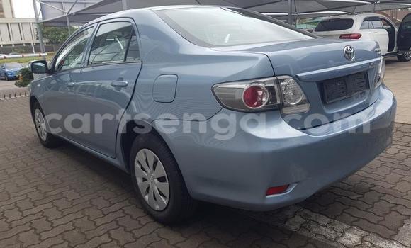 Buy Used Toyota Corolla Blue Car in Ezulwini in Hhohho Buy Used Toyota Corolla Blue Car in Ezulwini in Hhohho