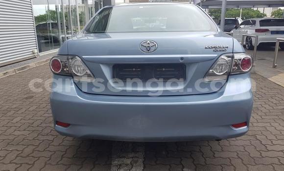 Buy Used Toyota Corolla Blue Car in Ezulwini in Hhohho Buy Used Toyota Corolla Blue Car in Ezulwini in Hhohho