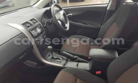 Buy Used Toyota Corolla Blue Car in Ezulwini in Hhohho Buy Used Toyota Corolla Blue Car in Ezulwini in Hhohho