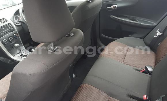 Buy Used Toyota Corolla Blue Car in Ezulwini in Hhohho Buy Used Toyota Corolla Blue Car in Ezulwini in Hhohho