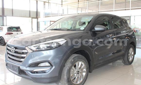 Acheter Occasion Voiture Hyundai Tucson Gris à Ezulwini, Hhohho Acheter Occasion Voiture Hyundai Tucson Gris à Ezulwini, Hhohho