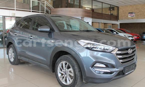 Acheter Occasion Voiture Hyundai Tucson Gris à Ezulwini, Hhohho Acheter Occasion Voiture Hyundai Tucson Gris à Ezulwini, Hhohho