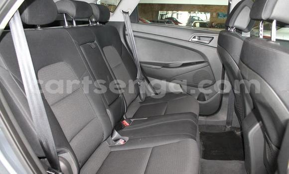 Acheter Occasion Voiture Hyundai Tucson Gris à Ezulwini, Hhohho Acheter Occasion Voiture Hyundai Tucson Gris à Ezulwini, Hhohho