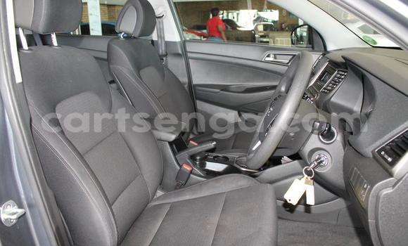 Acheter Occasion Voiture Hyundai Tucson Gris à Ezulwini, Hhohho Acheter Occasion Voiture Hyundai Tucson Gris à Ezulwini, Hhohho