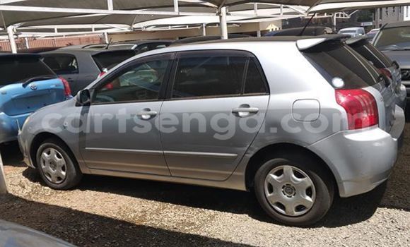 Buy Used Toyota Runx Silver Car in Nhlangano in Shiselweni District Buy Used Toyota Runx Silver Car in Nhlangano in Shiselweni District