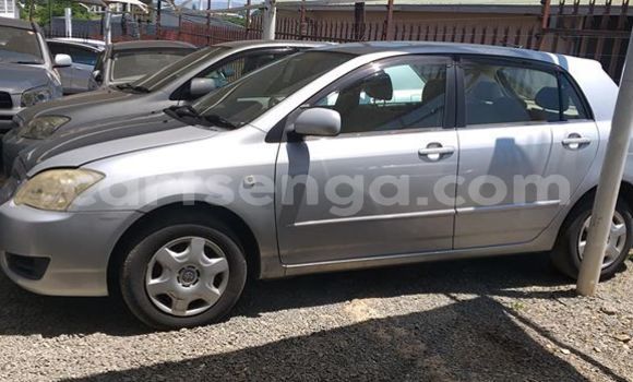 Buy Used Toyota Runx Silver Car in Nhlangano in Shiselweni District Buy Used Toyota Runx Silver Car in Nhlangano in Shiselweni District