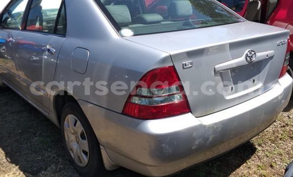 Buy Used Toyota Corolla Silver Car in Nhlangano in Shiselweni District Buy Used Toyota Corolla Silver Car in Nhlangano in Shiselweni District