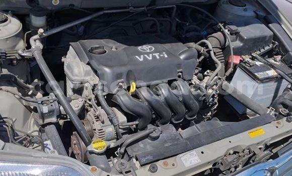 Buy Used Toyota Corolla Silver Car in Nhlangano in Shiselweni District Buy Used Toyota Corolla Silver Car in Nhlangano in Shiselweni District