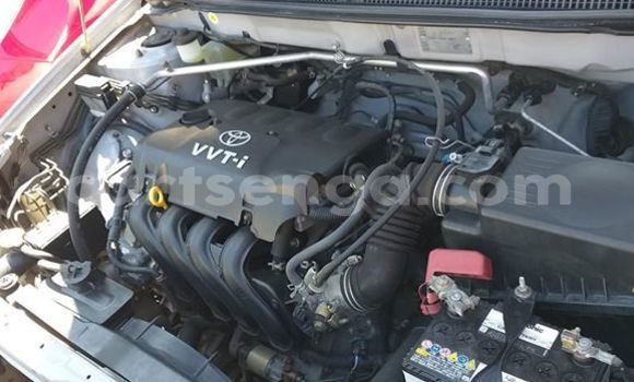 Buy Used Toyota Corolla Silver Car in Nhlangano in Shiselweni District Buy Used Toyota Corolla Silver Car in Nhlangano in Shiselweni District