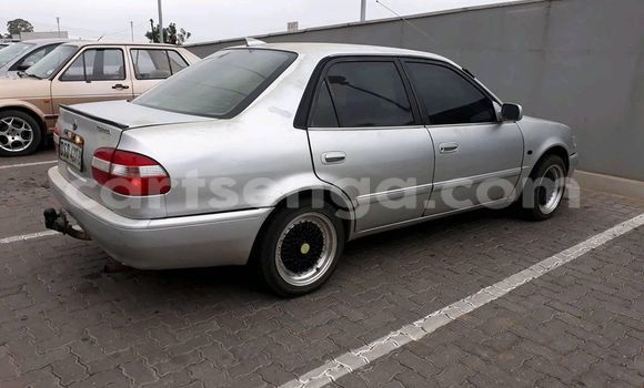 Acheter Occasion Voiture Toyota Corolla Gris à Mbabane, Manzini Acheter Occasion Voiture Toyota Corolla Gris à Mbabane, Manzini