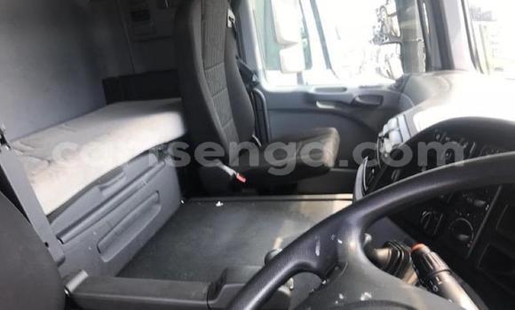 Acheter Occasion Utilitaire Mercedes‒Benz 2644 Blanc à Mbabane, Manzini Acheter Occasion Utilitaire Mercedes‒Benz 2644 Blanc à Mbabane, Manzini