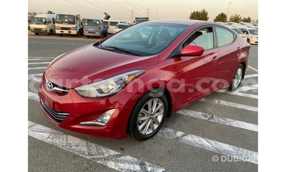 Buy Import Hyundai Elantra Red Car in Import - Dubai in Hhohho Buy Import Hyundai Elantra Red Car in Import - Dubai in Hhohho