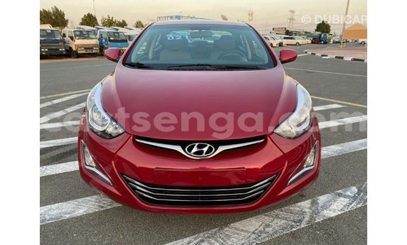 Buy Import Hyundai Elantra Red Car in Import - Dubai in Hhohho Buy Import Hyundai Elantra Red Car in Import - Dubai in Hhohho
